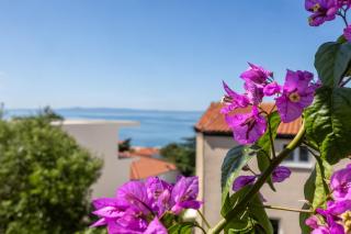 Apartments Josip II - 2