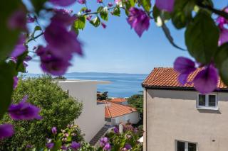 Apartments Josip II - Baška Voda - 0