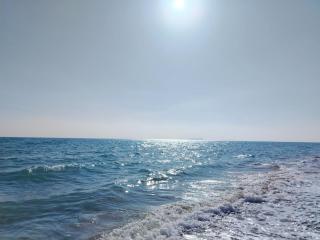 Alhegaz resort - 5