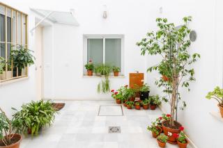 Wish Suite San Roman - 2