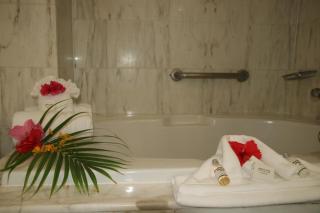 Elegant Apartment Lowlands + Pool - 4