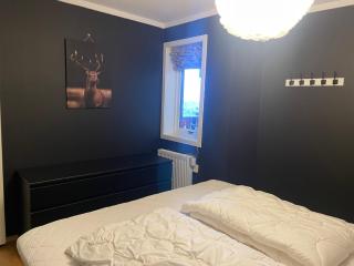 Stor Og Moderne Leilighet I Sentrum - 1