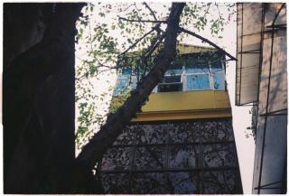 Carol Ha Noi - 3