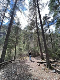 Mountain Chalet in Beauvezer - 4