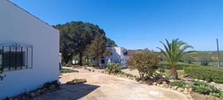 Quinta do Lagar - 04 - 1