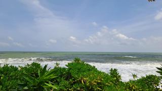 Mario Ocean View - 7