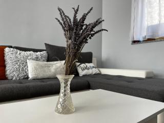 Modern two bedroom flat with balcony - 8