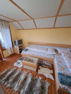 Vila Dedo Liben - 9