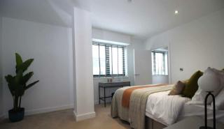 Sophisticated 2 Bedroom apartment in Solihull NEC - 5