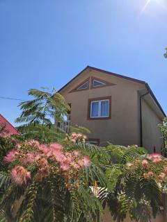 Cozy, country house - 4