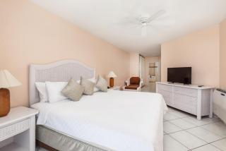Sea View Apartment in Lowlands with Private Pool, 245 sqm - 1