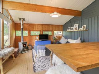 Blue Pine Lodge - 3