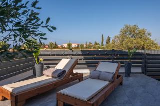 The Summer Haven - 8