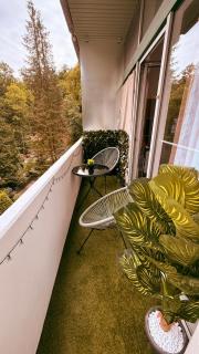 Mountain Lodge - modernes Appartement mit Schwimmbad und Sauna - Bad Harzburg im Harz - 8