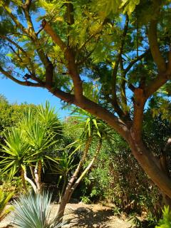 Divine ROUJAN Sunny Lodge - 4