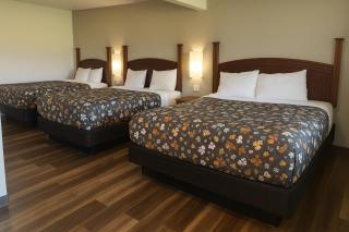 American Inn & Suites - 5