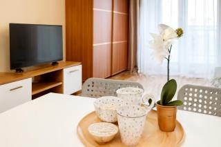 Apartament z Garażem blisko Lotniska - 0