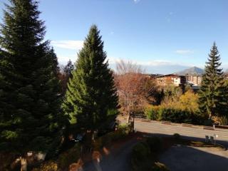 Duplex 6 pers sur pistes débutants avec parking - Les Carroz d'Arâches - FR-1-572-74 - 5