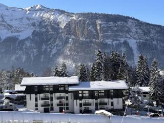 Duplex 6 pers sur pistes débutants avec parking - Les Carroz d'Arâches - FR-1-572-74 - 1