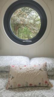 Squirrels Wood Lodge, nr Glencoe, dog friendly - 1