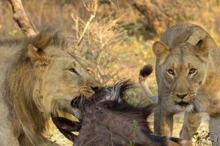 Issah tours and safari guide tz - 7