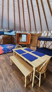Mountain Springs Cabins - 7