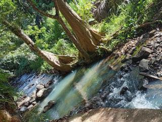 River side Resturant and Resort - Balangoda - 4