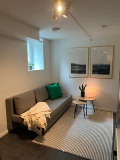 Newly renovated apartment close to city center - 0