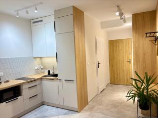 Szczyrk z SAUNĄ na STOKU apartament Uroczy - 6