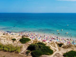 Holiday View - 1