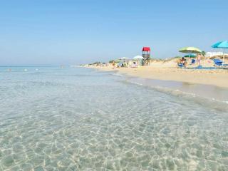 Summer View Sea - 2