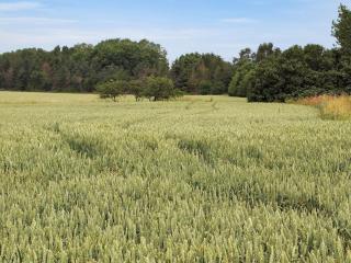 Holiday Home Jeip - 400m to the fjord by Interhome - 8