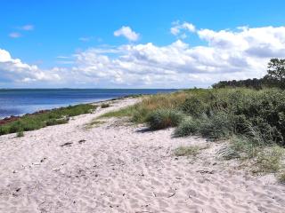 Holiday Home Liselotte - 275m from the sea by Interhome - Rørvig - 4