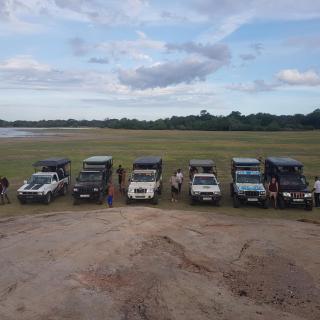 Kumana safariThapobane safari service - 2