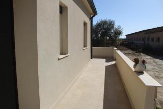 Il Pastore chic - 6