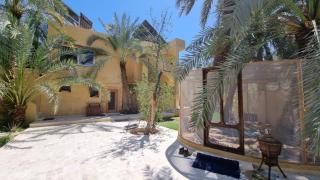 Spellbound in Siwa - 6