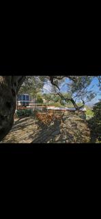Casa Pizzillo - 9