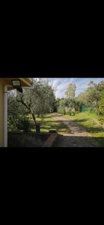 Casa Pizzillo - 2