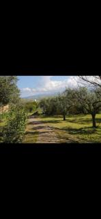 Casa Pizzillo - 1