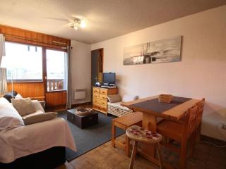 3 pièces familiales, 4 pers, garage, centre des Carroz - FR-1-572-75 - 0