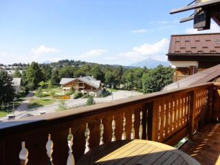 3 pièces familiales, 4 pers, garage, centre des Carroz - FR-1-572-75 - 5