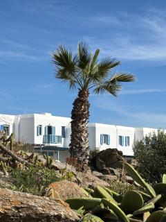 Jolie seaside maisonette! - 6