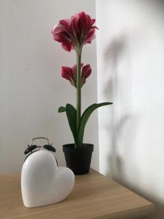 Stunning 3 bedroom apartment in central London - 0