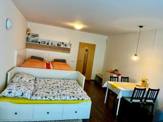 Apartmán u Tesáka - Říčky v Orlických horách - 6