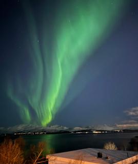 Great location, close to Telegrafbukta and the city! - 0