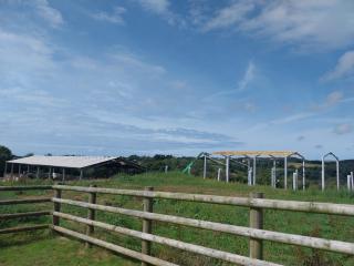 Ramblers Rest 2 miles from beach,rural setting Bude Cornwall - 4