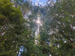 Campsite on a terrace within 1km of Ziro Music Festival - 4