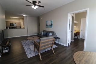 New Modern Stay Across from UNC-P with Pool & Gym - 9