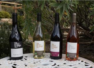 Chambre d'Hôtes Domaine Pero Longo - 3