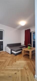 Apartament Ślichowice - 3